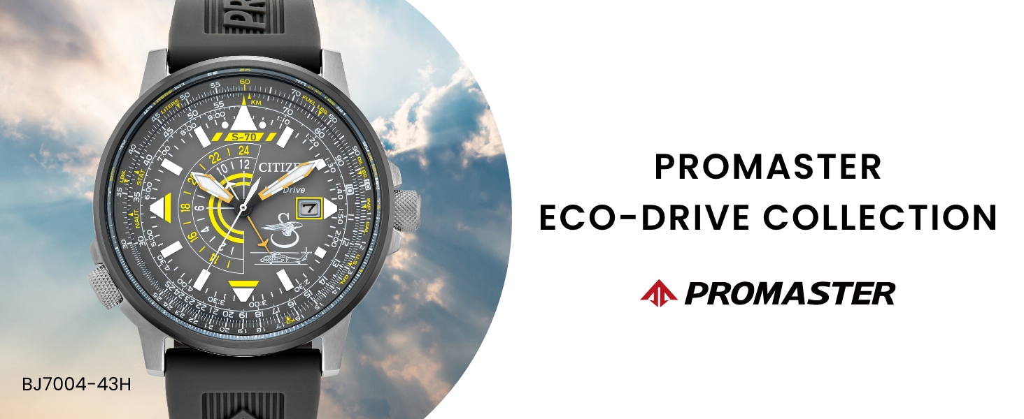 Citizen Eco-Drive Endurance