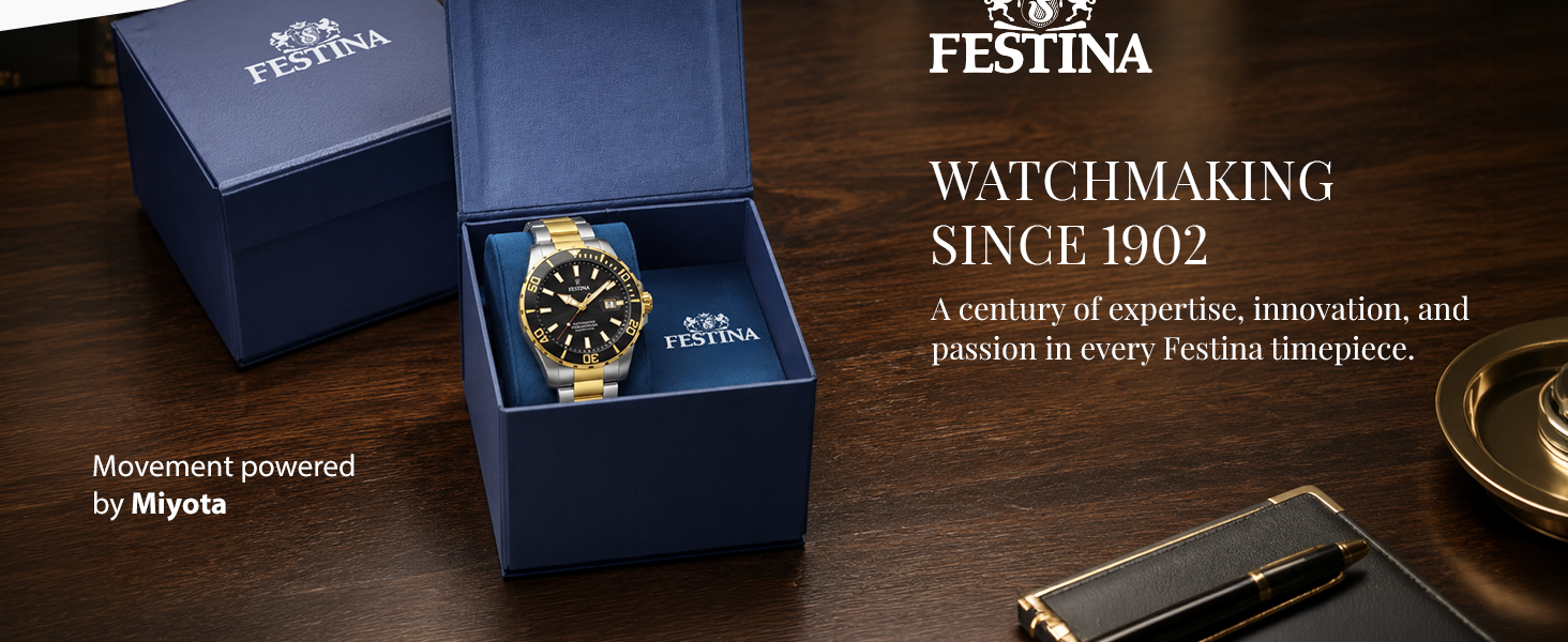 Festina F20531 Tasarımı