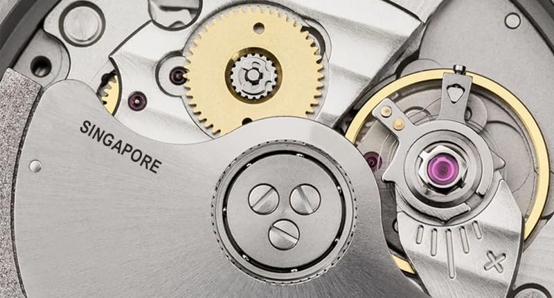 Ravel Expander Watches